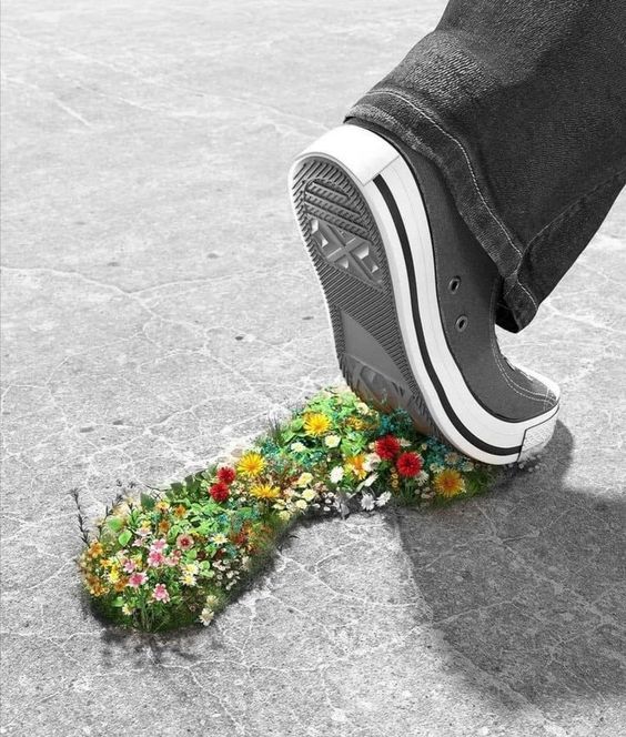 a person standing on top of a skateboard with flowers growing out of the bottom