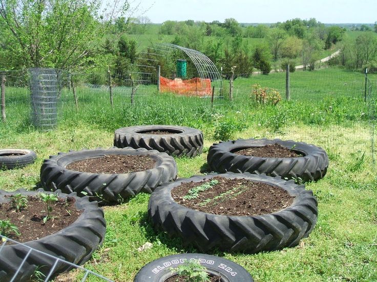 there are many tires that have been placed in the grass and some plants growing out of them