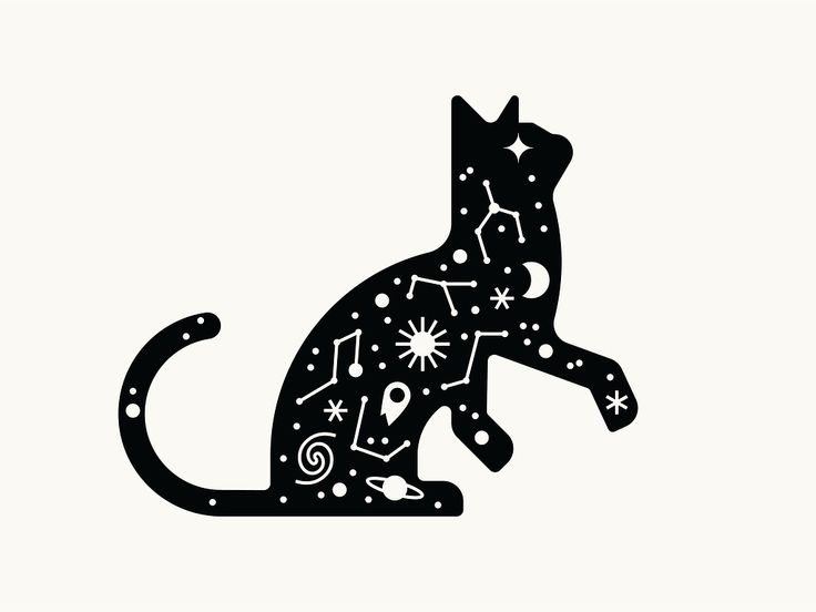 a black cat with stars and planets on it's back, sitting in front of a white background