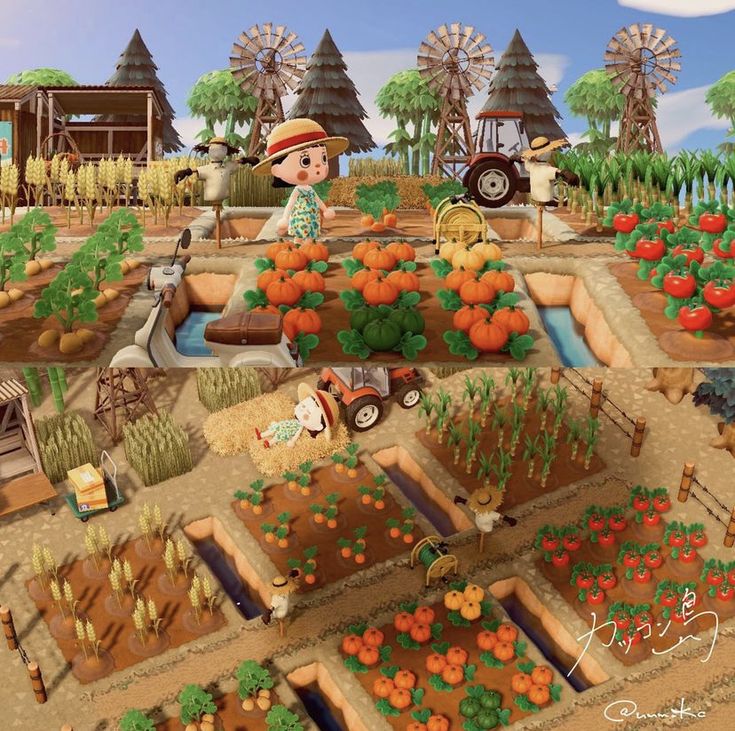 the farm is full of many different types of vegetables and plants, including carrots