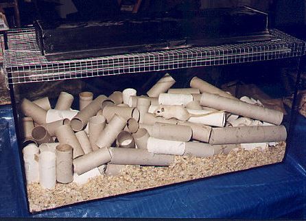 an aquarium filled with lots of different types of pipes and tubes in front of a blue tarp