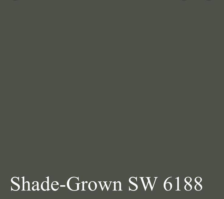 the cover of shades of grey, with black and white text that reads shade - grown sw