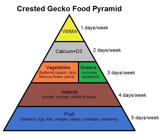 the food pyramid is labeled in several different colors and sizes, including fruits, vegetables, grains