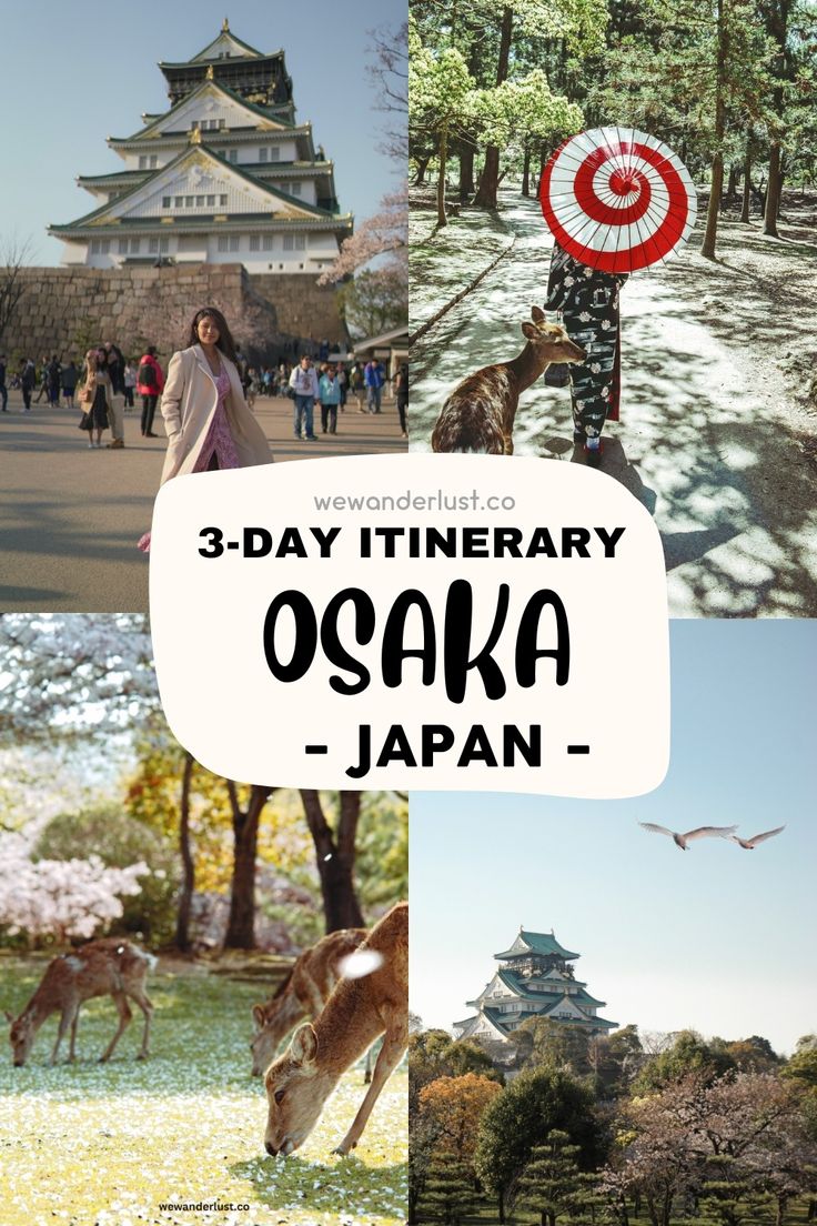 the 3 day itinerary in japan with pictures of people and animals