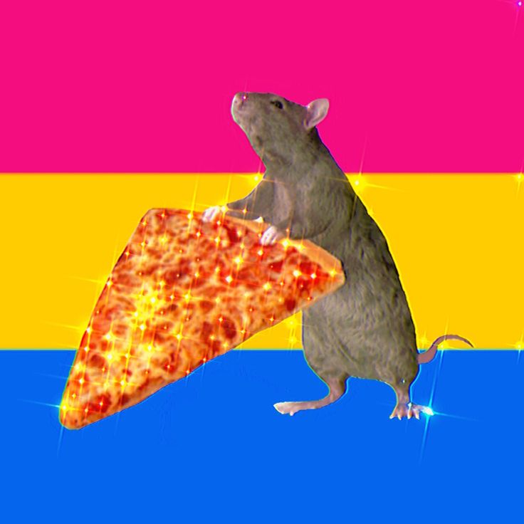 a rat eating a slice of pizza on top of a rainbow colored background with stars