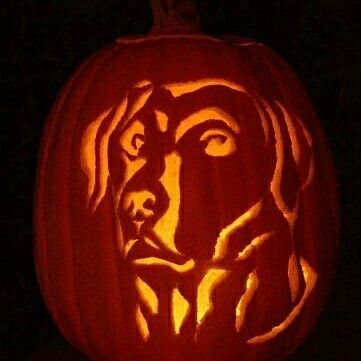 a carved pumpkin with a dog's face on it