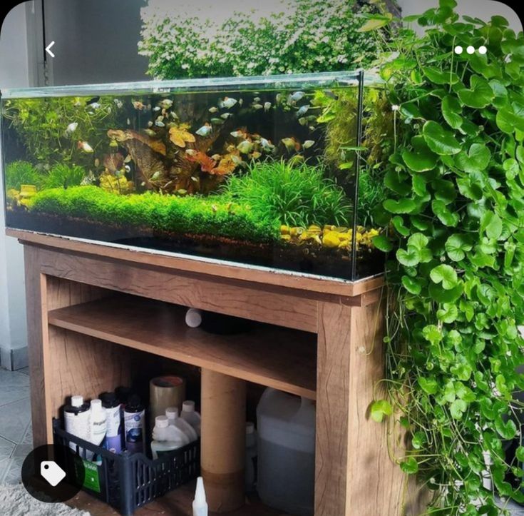 a fish tank sitting on top of a wooden table next to plants and other items