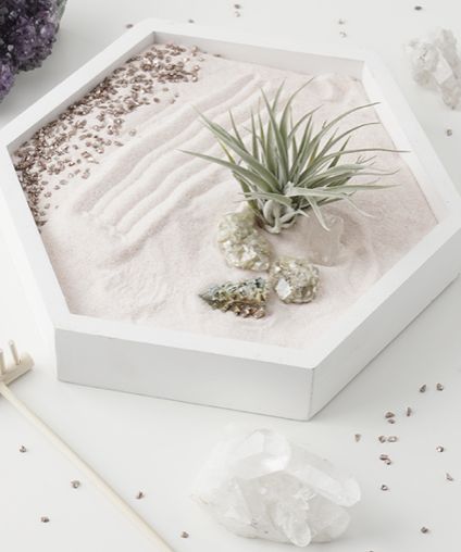 an air plant in a white box next to some rocks and other things on the table