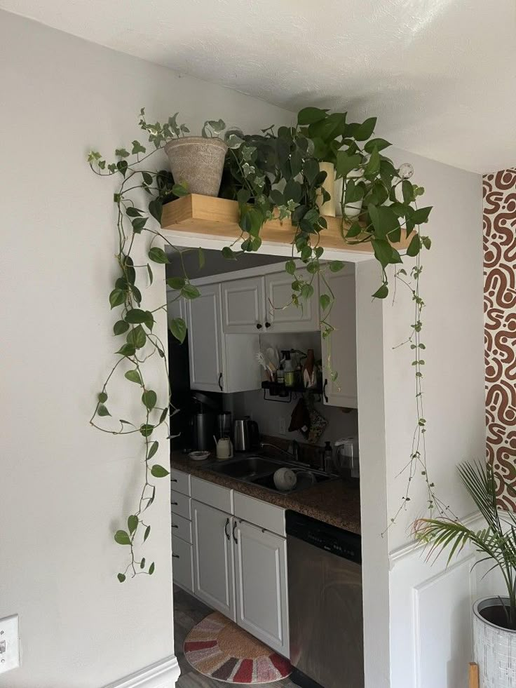 the kitchen is decorated with plants and potted plants on the shelf above the sink