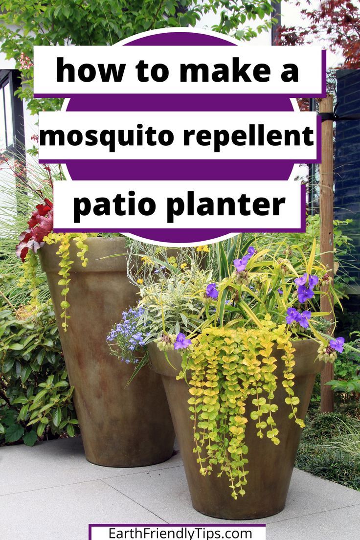 two large planters with plants in them and the words how to make a mosquito repellent patio planter