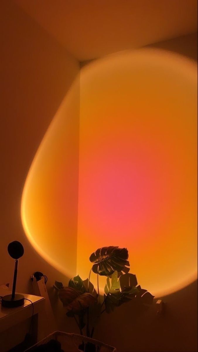 a potted plant sitting on top of a table next to a light fixture in a room