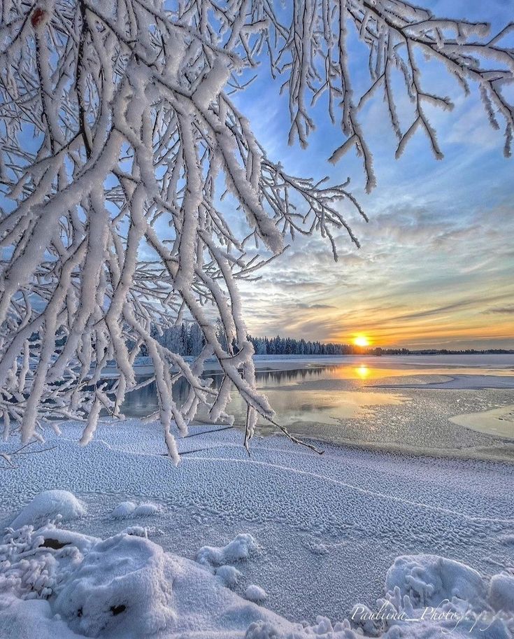 the sun is setting behind some snow covered trees on the water's edge in winter