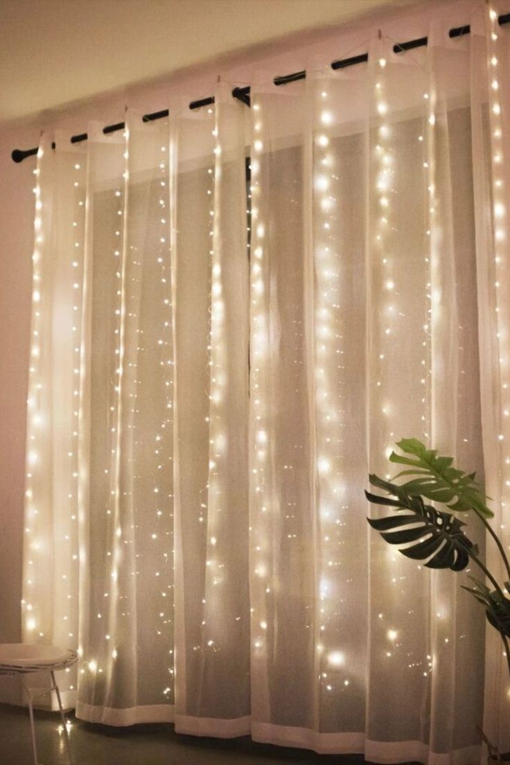 the curtains are covered with white lights and some plants in front of them is a potted plant