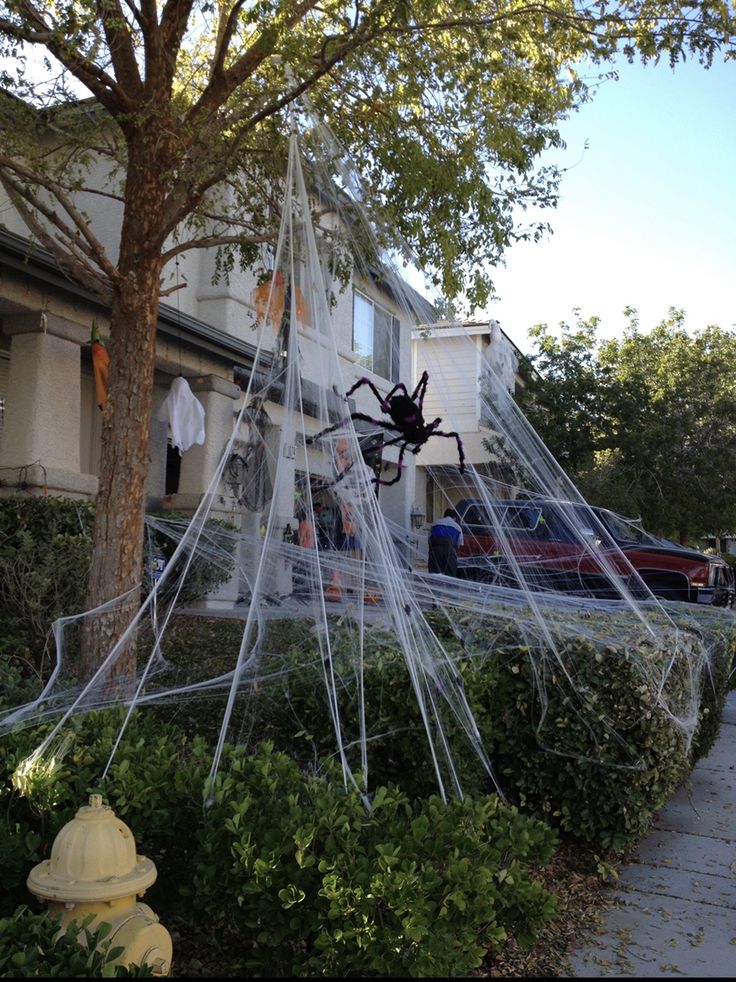 a spider web hanging from a tree in front of a house