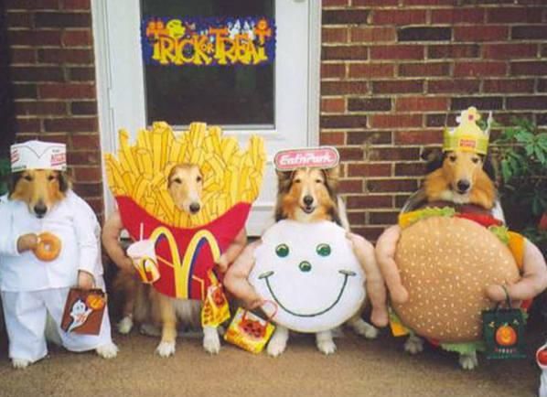 three dogs dressed up as mcdonald's, fries and hamburgers in front of a house