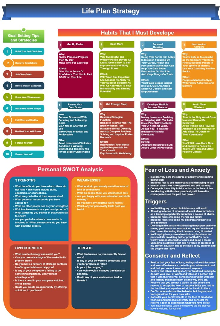 the life plan strategy is shown in this graphic diagram, which shows how to use it