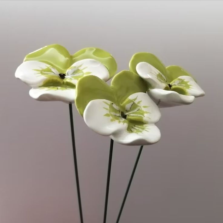 three white and green flowers are in a vase on a table with grey walls behind them