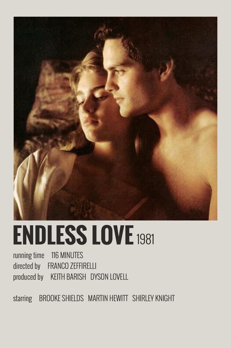 the movie poster for endless love