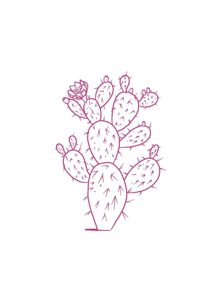 a drawing of a cactus in a pot