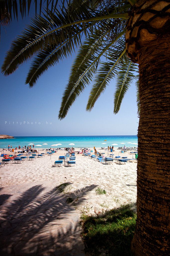 the beach is crowded with people and umbrellas under palm trees on a sunny day