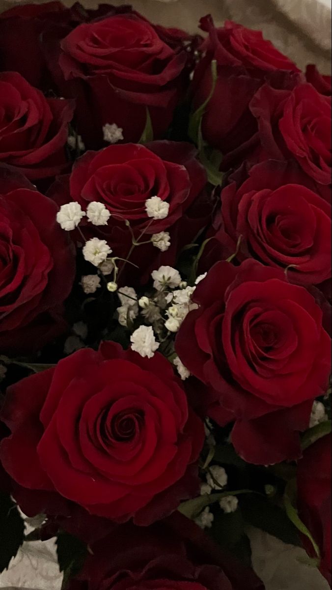 a bouquet of red roses with baby's breath in the center and white flowers