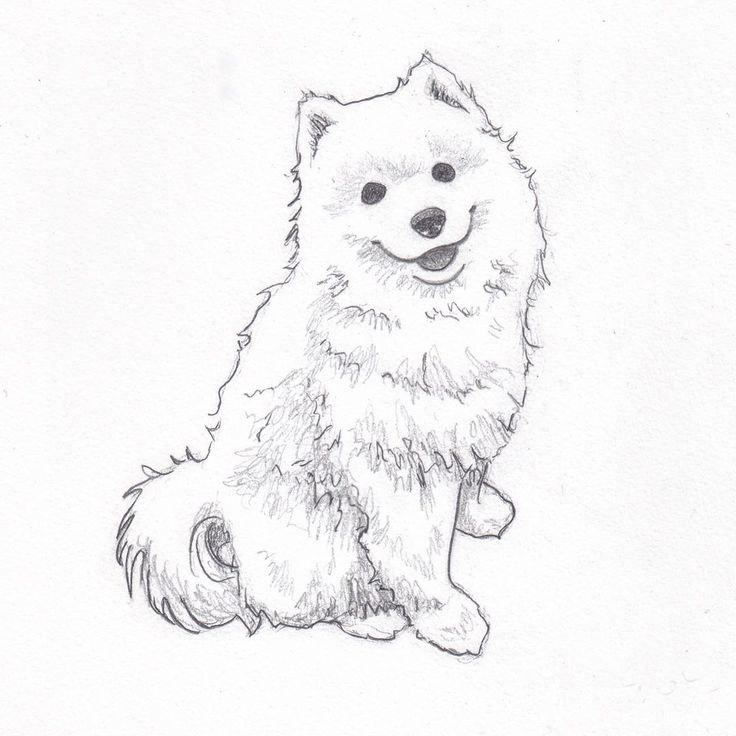 a drawing of a dog sitting down with its paws on the ground and looking at the camera