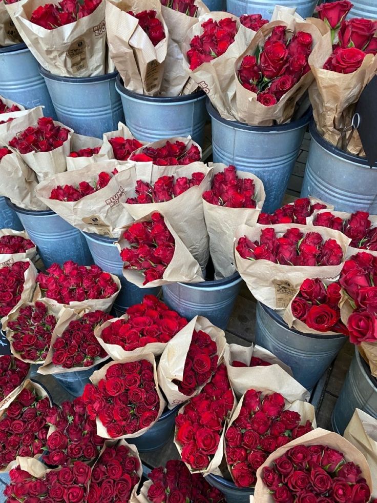 many buckets filled with red roses on display