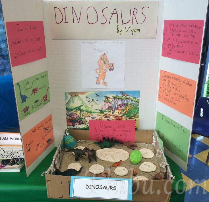 a display with dinosaurs and other items on it