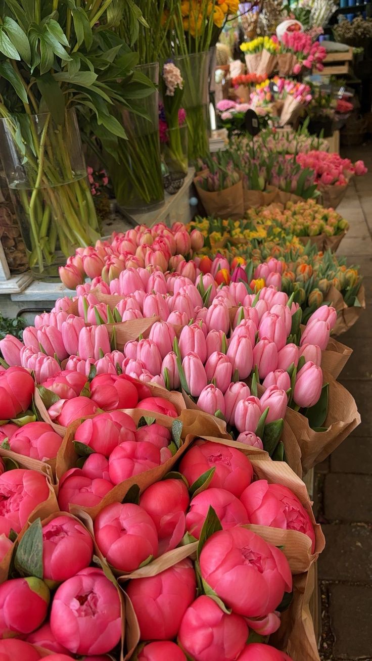 pink tulips and other flowers on display at a flower shop