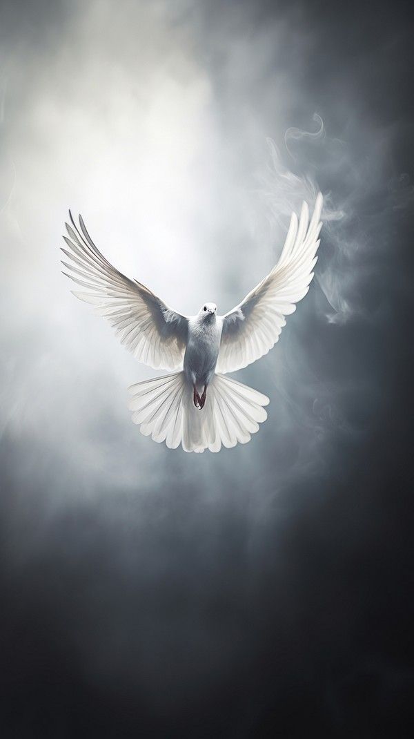 Beautiful flying bird long wavy | Premium Photo - rawpixel Birds Flying Photography, Doves Flying, Dove In Flight, Painting Techniques Art, Flying Dove, Dove Flying, Persian Warrior, Bible Artwork, Christian Illustration