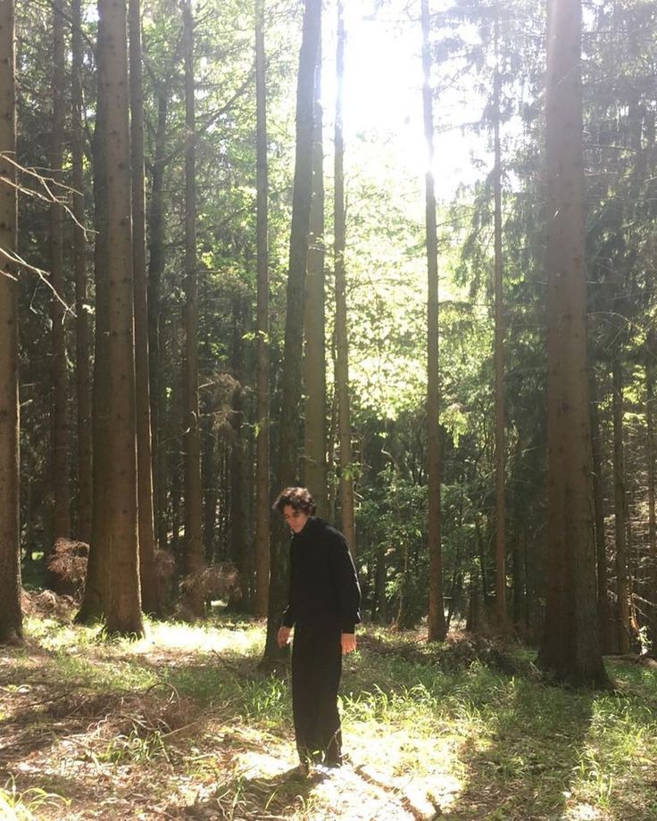 a man standing in the middle of a forest