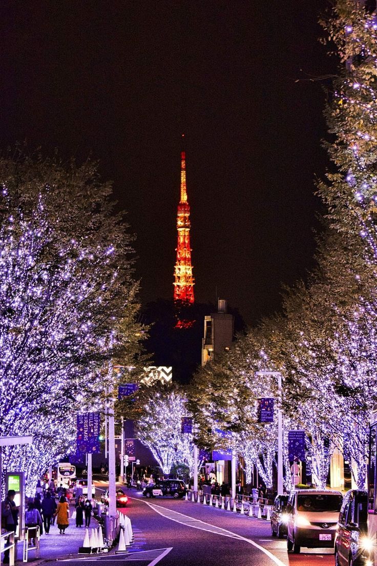 the street is lined with christmas lights and trees