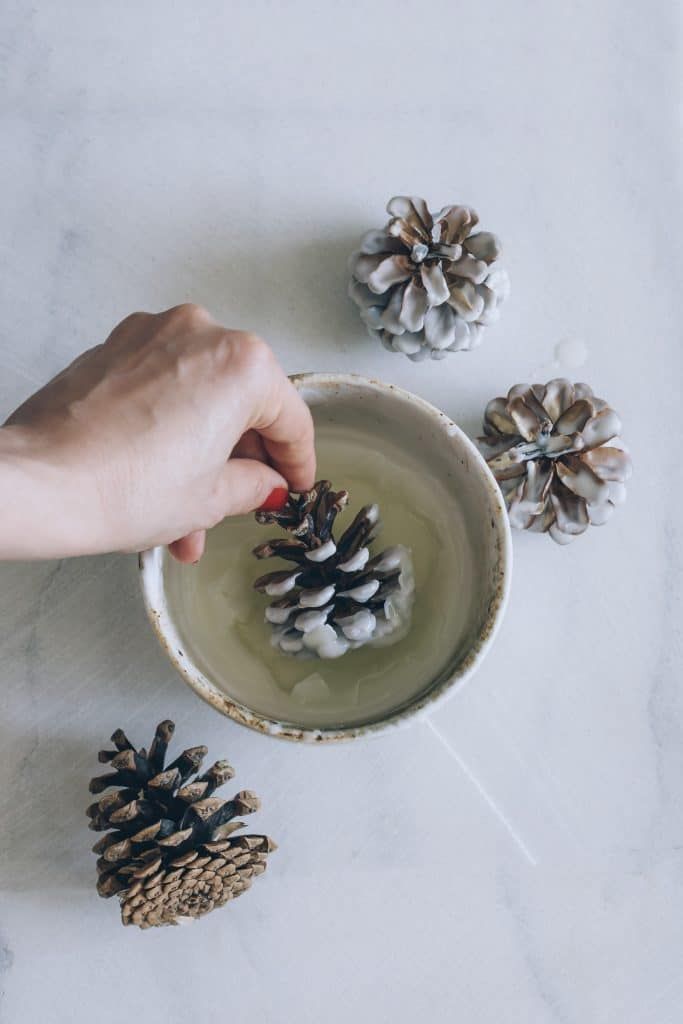 someone is placing pine cones in a bowl