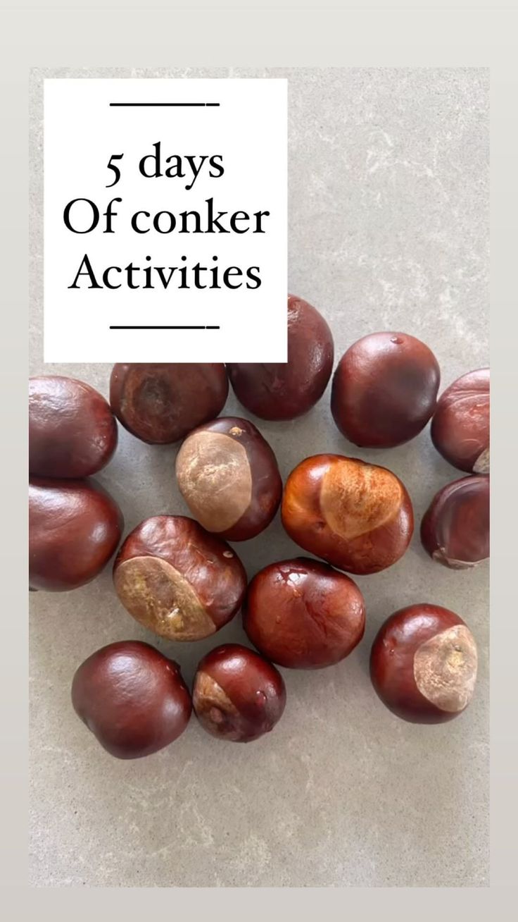 the words 5 days of cooker activities are surrounded by chestnuts and acorns