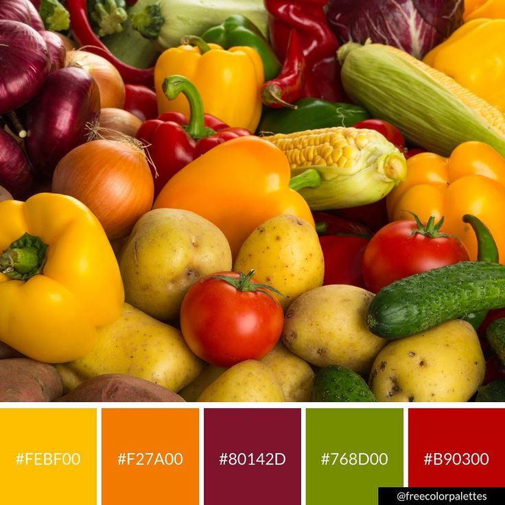 a bunch of different types of fruits and vegetables are shown in this color scheme for the web page