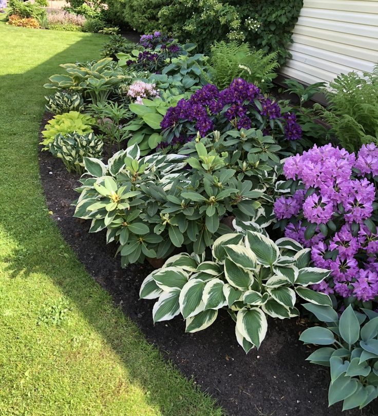 a garden with purple flowers and green plants next to a white house in the background