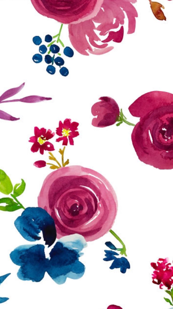 watercolor flowers on white background with blue and pink leaves in the foregrounds