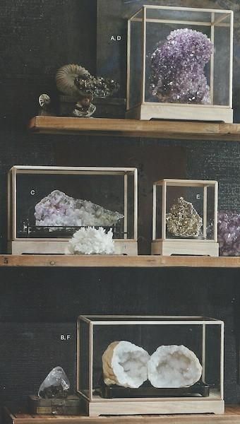 the shelves are filled with different types of rocks and crystals in glass cases on wooden shelves