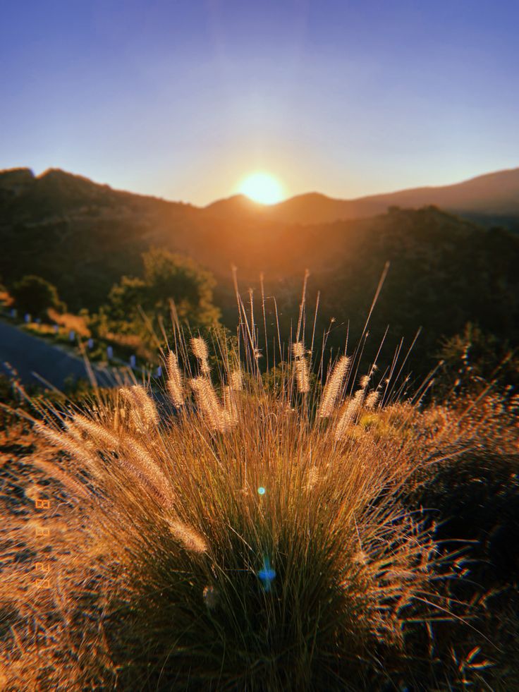 the sun is setting over some grass and mountains