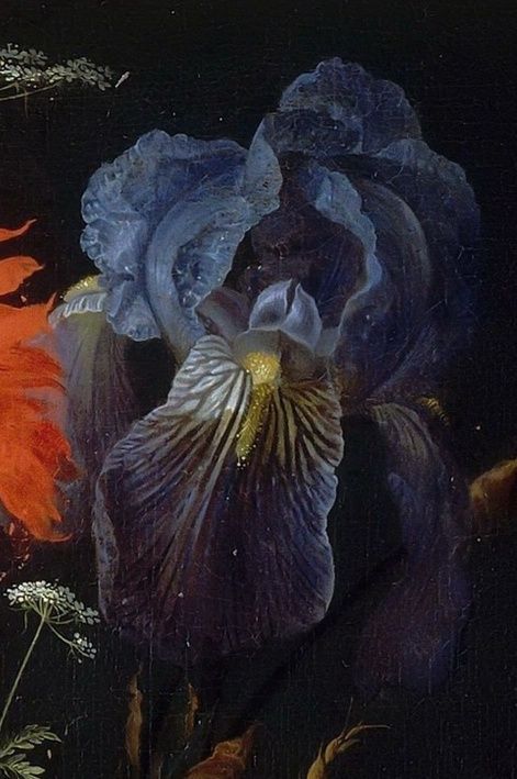 an oil painting of flowers on a black background with orange and blue petals in the foreground