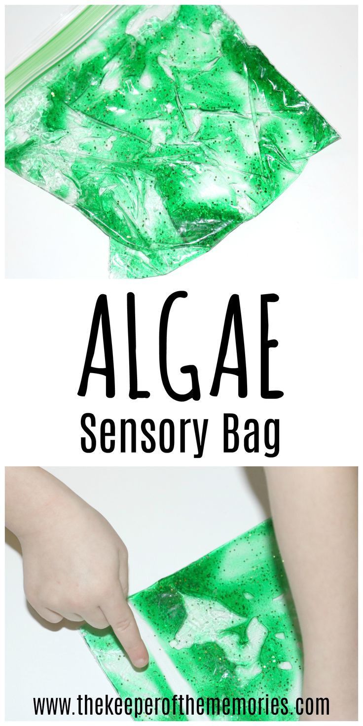 an image of a green bag with the words algae on it