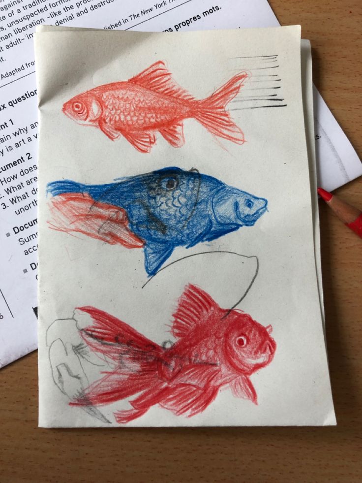 three fish are drawn on paper with colored pencils