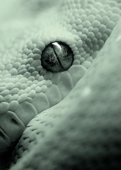 a black and white photo of a person laying in bed with their head on the pillow