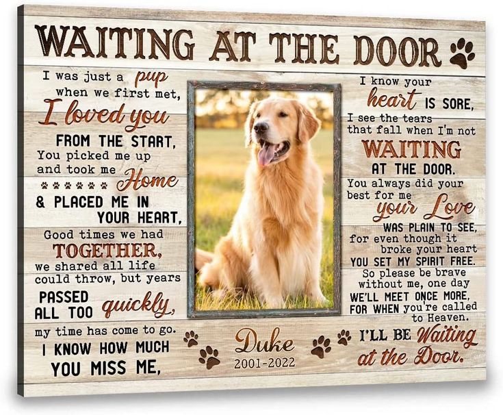 Waiting At The Door Canvas Dog Memorial Frames For Pictures Gift For Pet Loss Memorial Gift For Loss Of Dog Pet Bereavement Gift This high-quality canvas can be used to add color and life to any spaceThe canvas features state-of-the-art printing technology for sharp photographic reproduction and color fidelitywill not fade or warp and comes ready to hang.SpecificationsPrinted with UL Certified GREENGUARD GOLD Inkreduces indoor air pollution and the risk of chemical exposure.Water-resistant matt Dog Grave Marker, Door Canvas, Frames For Pictures, Pet Bereavement Gifts, Dog Loss Gift, Pet Bereavement, Dog Heaven, Dog Loss, Loss Of Dog