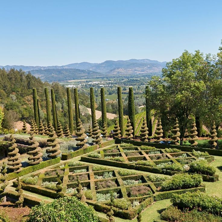 the garden is surrounded by many trees and bushes