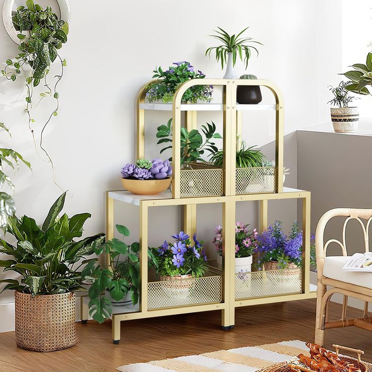 three shelves with plants in them on the floor