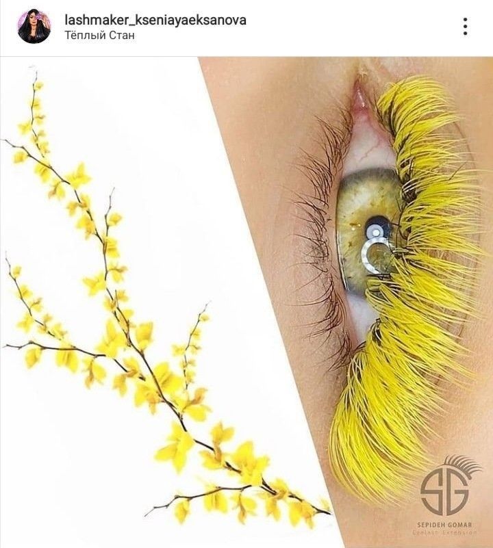 Yellow Lash Extensions, Lash Art, Studio Portrait Photography, Lash Extensions Styles, Studio Portrait, Studio Portraits, Lash Extensions, Eyelashes, Portrait Photography