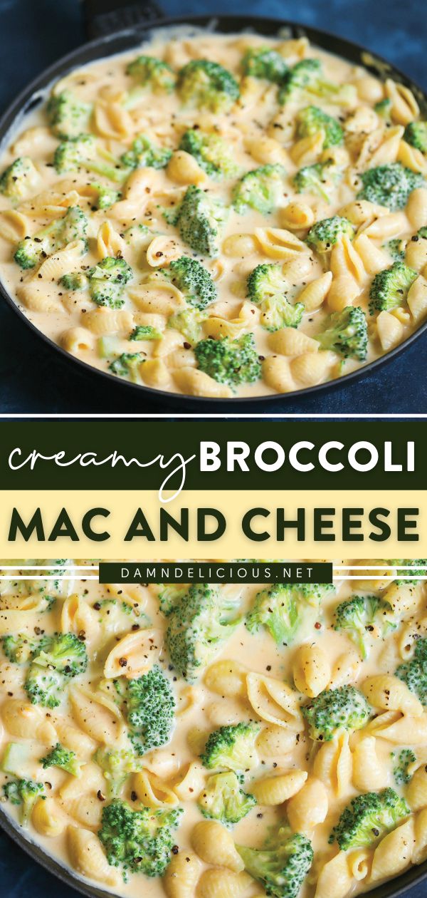 CREAMY BROCCOLI MAC AND CHEESE Fun Easy Healthy Dinners, Healthy Non Meat Dinners, Easy Pasta Recipes For Dinner, Easy Recipe With Broccoli, Simply Easy Dinner Ideas, Easy Healthy Dinner Meatless, Something Easy For Dinner Tonight, Quick Monday Dinner Ideas, Meal Ideas With Sides