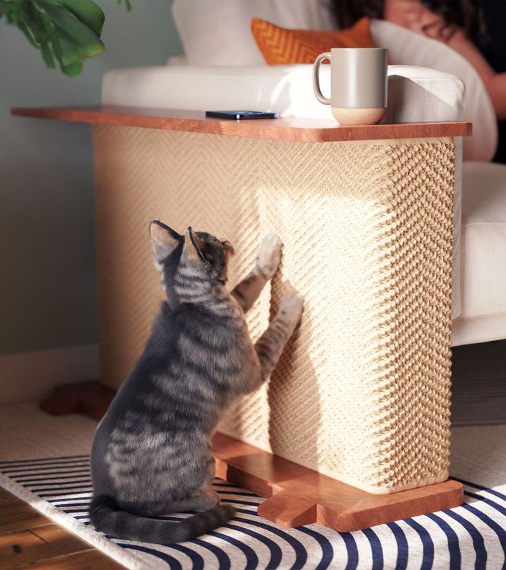 a cat sitting on the floor next to a table with a coffee cup in it