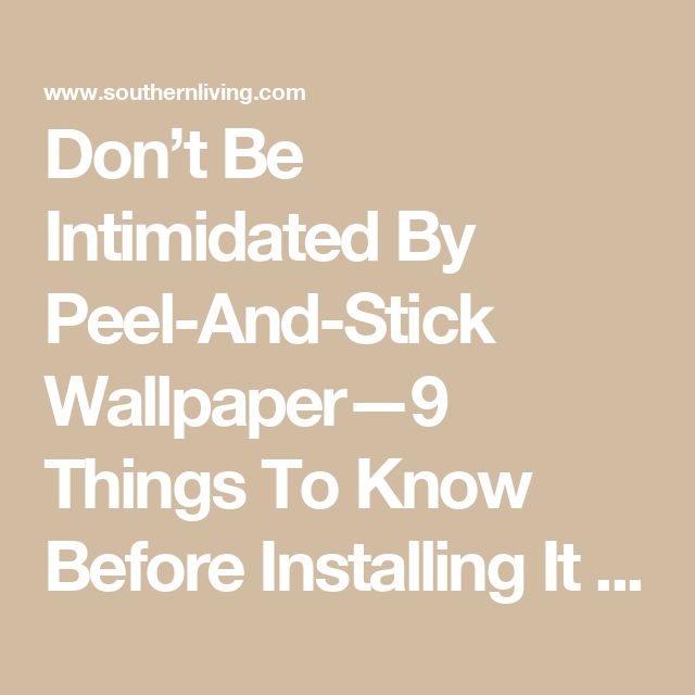 the words don't be intended by peel and stick wallpaper - 9 things to know before installing it